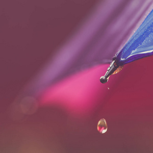 挂灯从雨伞图片