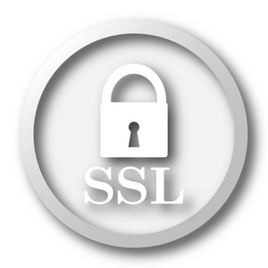 ssl 图标