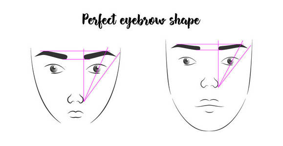 用眉毛的正确形式与女性面孔的海报
