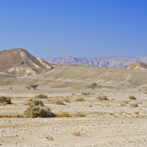 以色列南沙漠的岩石丘陵的孤独和空虚。壮观的风景和中东的性质