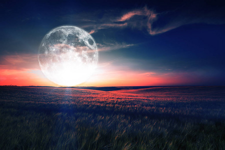 墨绿色的夜晚图片