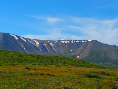 在阳光明媚的日子里, 阿尔泰山脉天际线和绿色草地山谷风景如画的景色, 俄罗斯