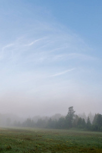 牧场和树木在清晨薄雾雾与蓝天和卷云上面