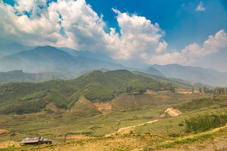 夏季越南老蔡沙萨梯田全景