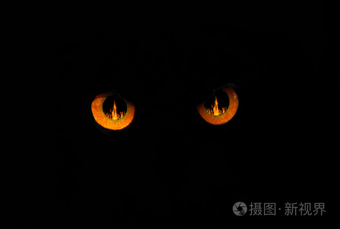邪恶的眼睛