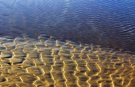 湿的沙滩地面