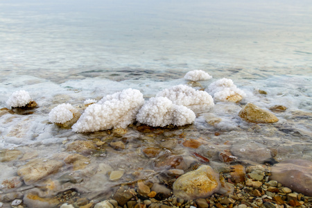 美丽的海滨的死海