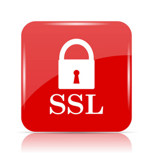 ssl 图标