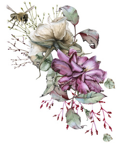 玫瑰的组成与野生花卉和蜜蜂。在白色背景上被隔离