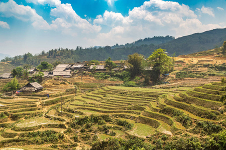 夏季越南老蔡沙萨梯田全景