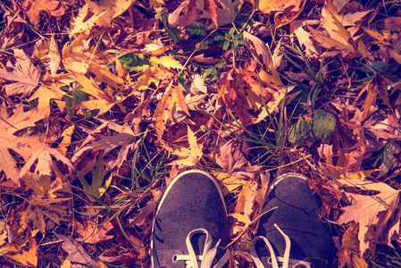 秋叶中鞋子中的腿的抽象形象