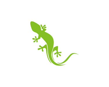 gecko 绿色徽标向量