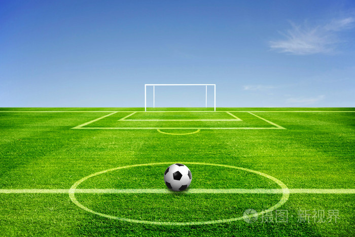 一个足球场的球