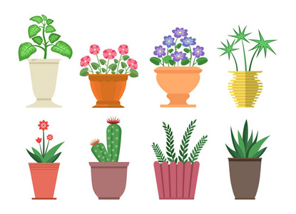 花叶万年青图片 花叶万年青素材 花叶万年青插画 摄图新视界