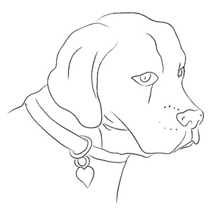 带项圈带项圈的狗的黑白素描, 矢量插画照片