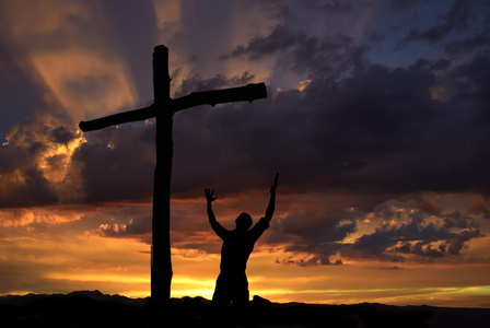 奥利奥崇拜者图片