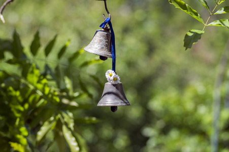 两个小金属东方铃铛挂在花园里, 夏日阳光明媚, 装饰着白色开花草坪