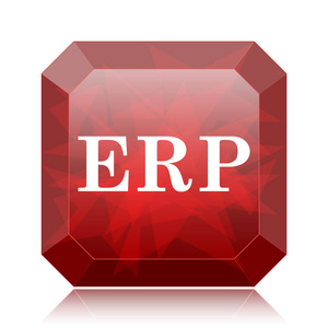 erp 图标