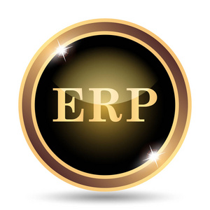 Erp 图标。白色背景上的互联网按钮