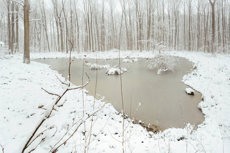 雪景和冰水点