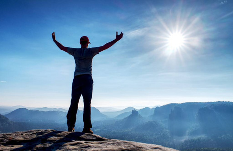 塔斯马尼亚魔鬼独自站立图片