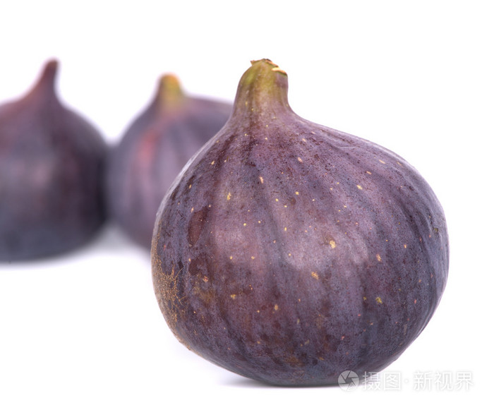 在白色的无花果