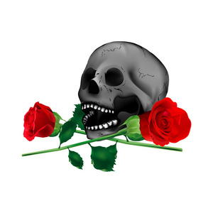 头骨和玫瑰