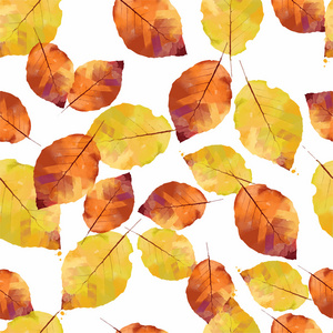 秋天的树叶的模式