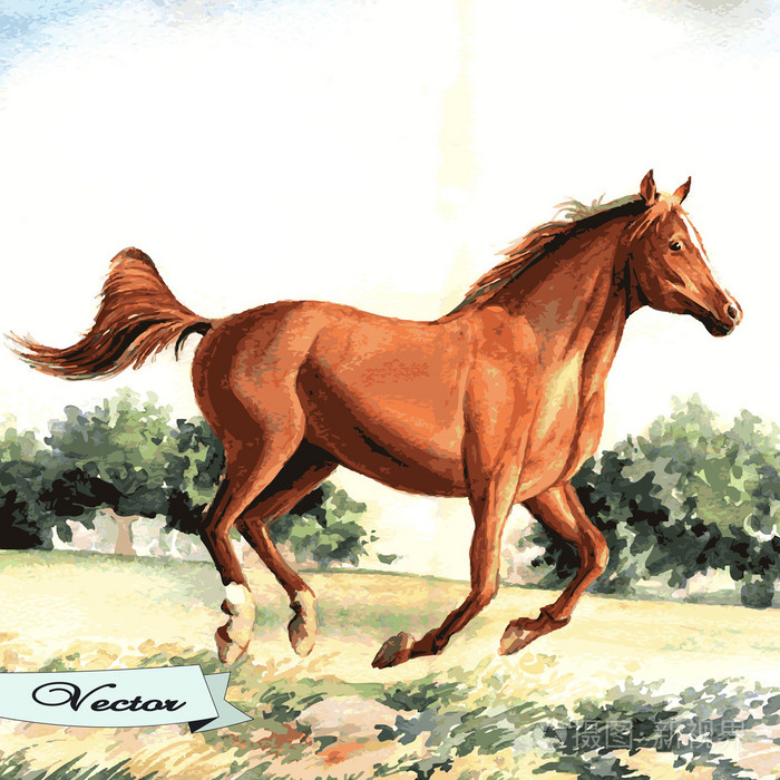 骏马奔腾的矢量水彩