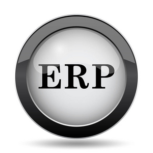 Erp 图标。白色背景上的互联网按钮