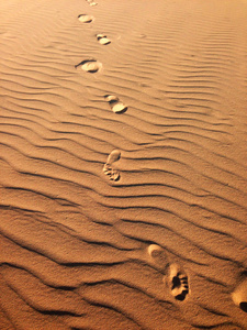 在沙漠中的沙滩上的脚印图片