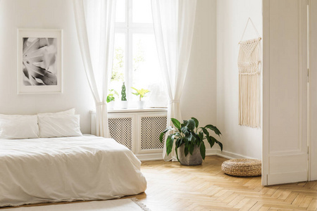 米色流苏和一个明亮的, 简约的卧室内部的白色墙壁上的海报硬木地板和植物