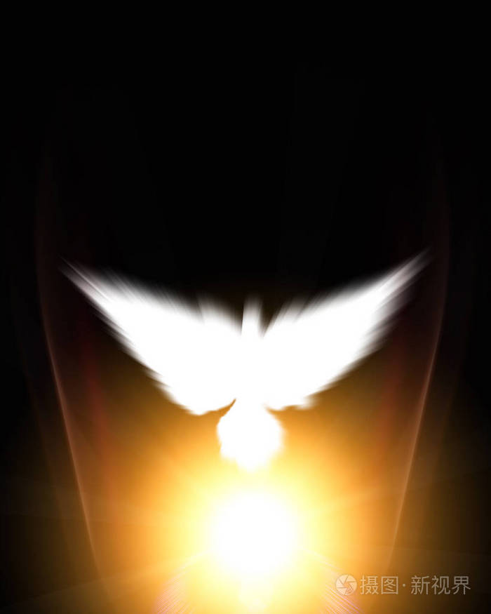 在发光背景上的白色鸽子的神圣标志