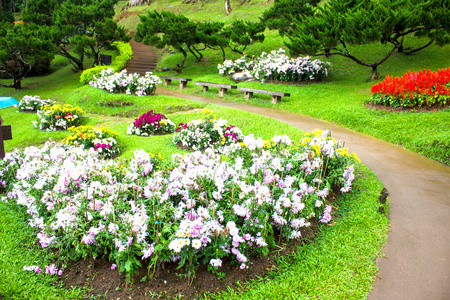 湄 fah 銮花园，位于茵董，泰国清莱省