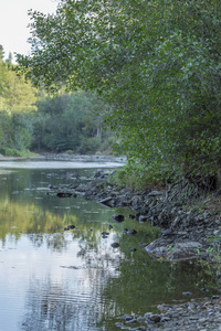 主题河, 山上的河流, 边缘与岩石, 树木和植被和镜子图像在水中