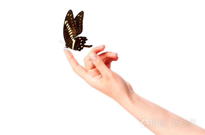 女人的手上的蝴蝶在运动