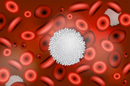 免疫白细胞图片