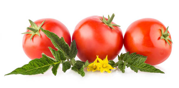 熟的西红柿在白色背景上孤立