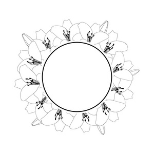 百合花轮廓横幅花圈在白色背景被隔绝。矢量插图