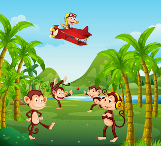 丛林中的一群猴子插图