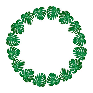 矢量插图。异国风情的热带绿叶龟背竹。圆形框架