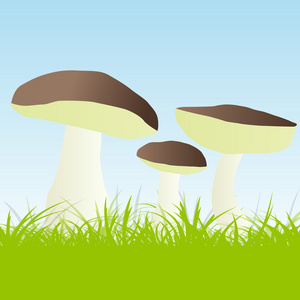 蘑菇矢量背景图片