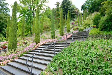 美丽的楼梯，在一个美丽的公园