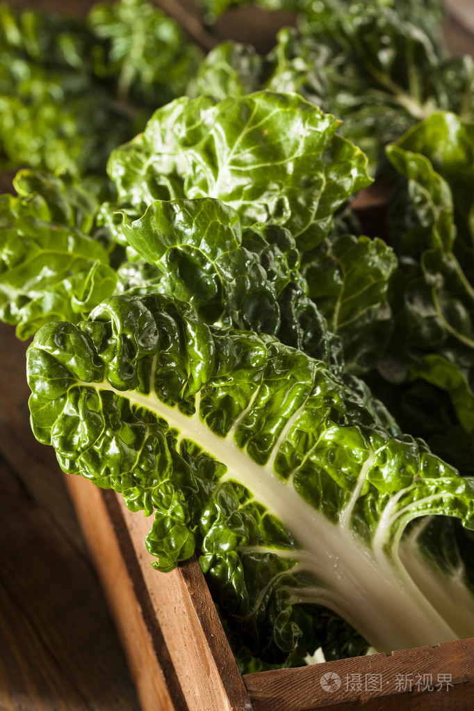 新鲜的有机绿色甜菜