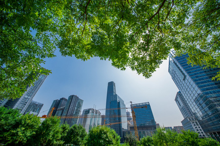 北京的 cbd 大厦