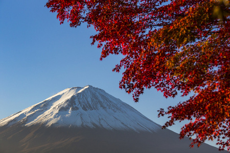 富士山与红色的秋叶。日本