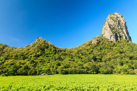 石灰石山