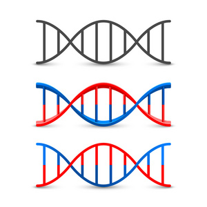 Dna 符号设置艺术