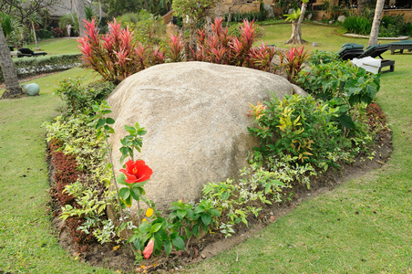 石头在花园里图片