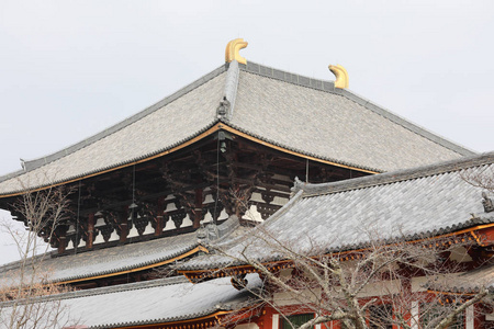 东大寺的屋顶是一座佛教寺庙, 位于日本奈良市照片
